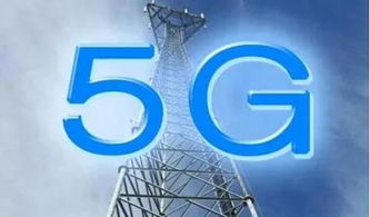 5G时代降临 信息科技如何首先为长寿赋能